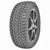 шина Delinte Winter WD1 175/70R14 88T в Санкт-Петербурге