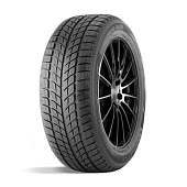 шина DoubleStar DW09 255/50R20 109H в Санкт-Петербурге